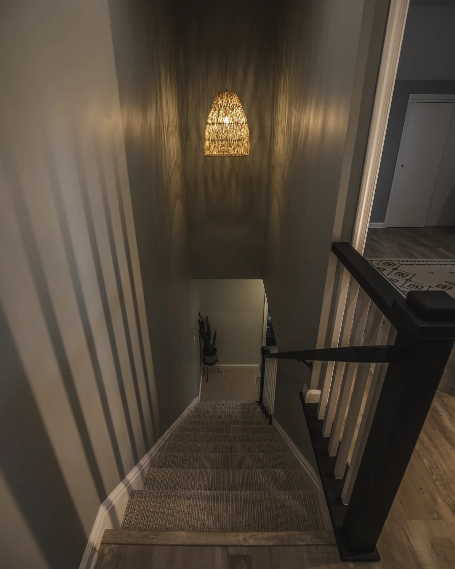 Project Image 8