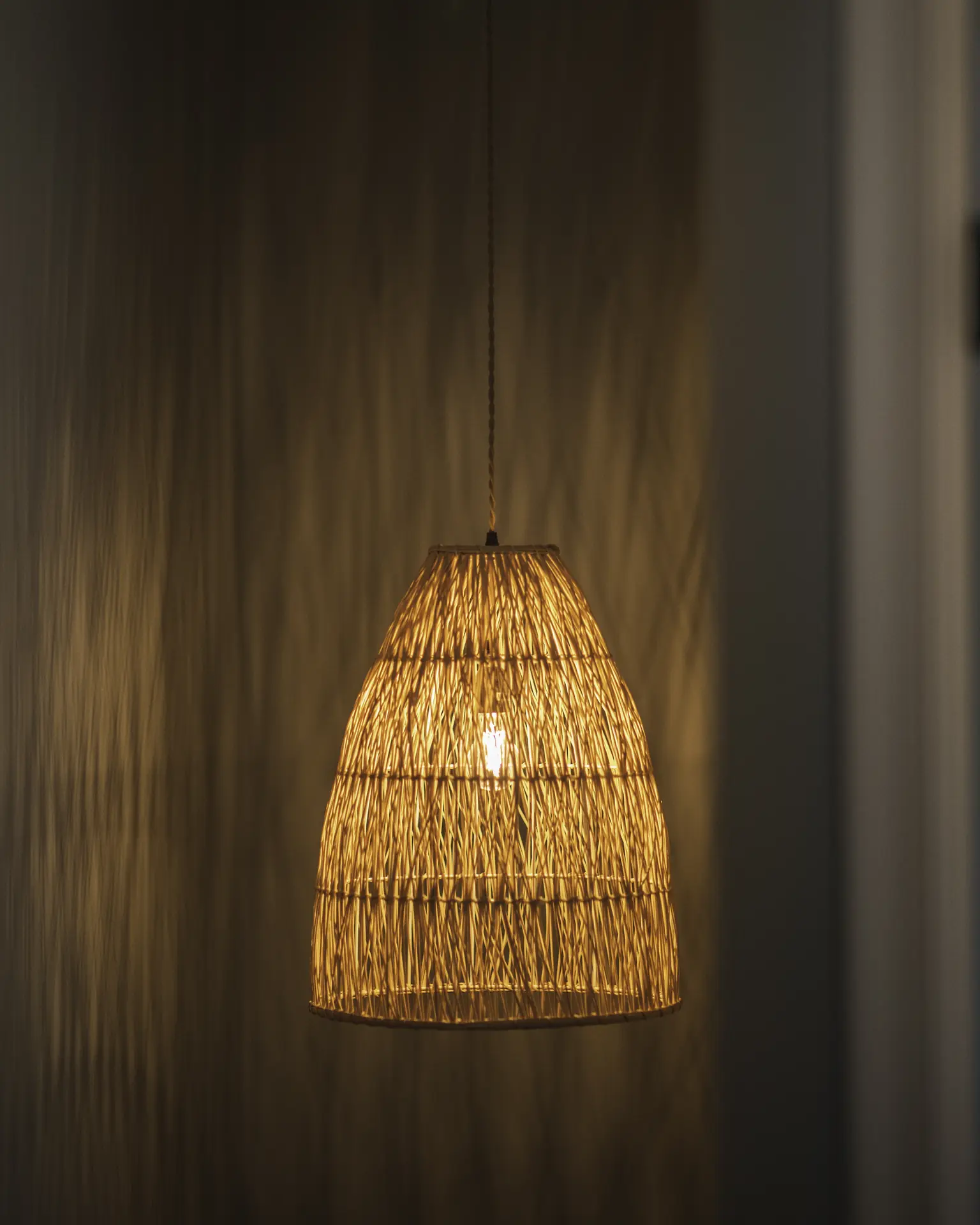 Project Image 11